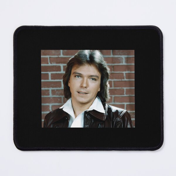 Item preview, Shaun Cassidy Tour 2019 Sir5 designed and sold by showfeesticker.