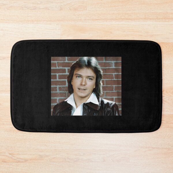 Item preview, Shaun Cassidy Tour 2019 Sir5 designed and sold by showfeesticker.