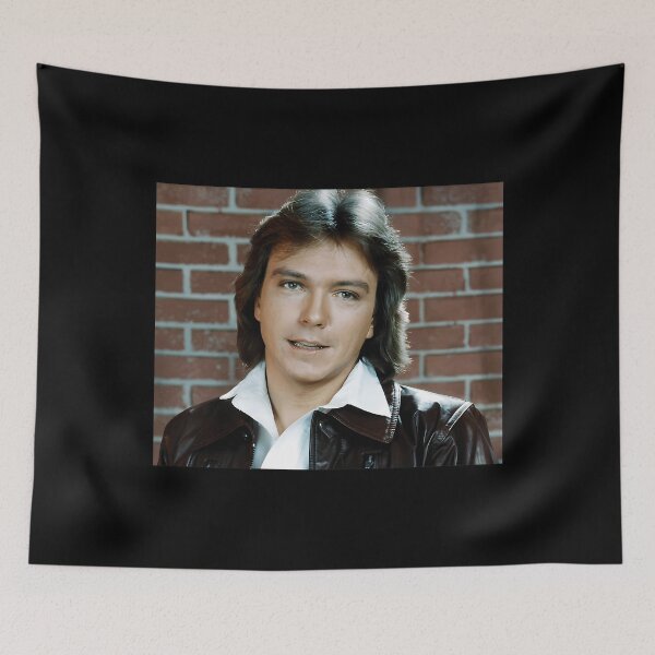 Item preview, Shaun Cassidy Tour 2019 Sir5 designed and sold by showfeesticker.