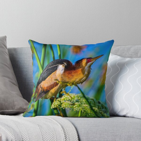 Item preview, Least Bittern designed and sold by Glennphotos.