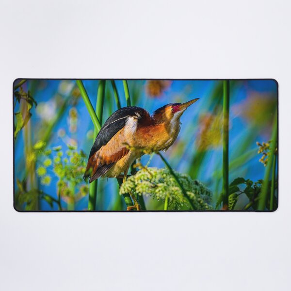 Item preview, Least Bittern designed and sold by Glennphotos.