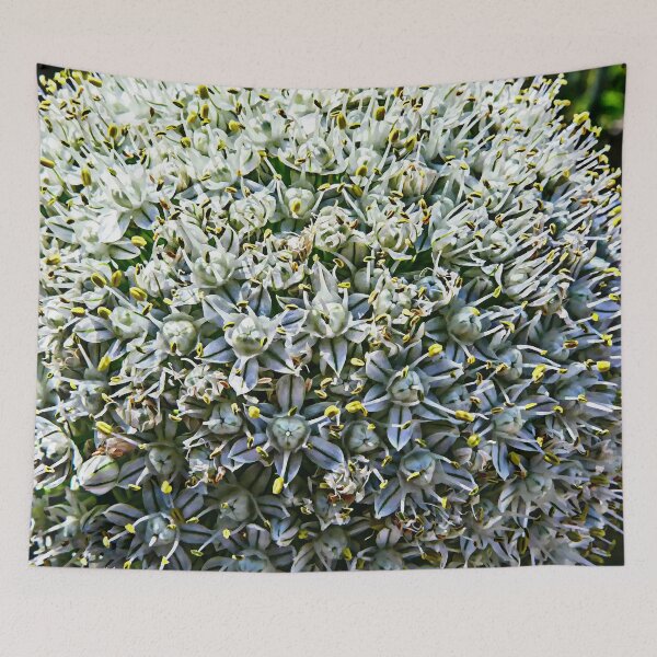 Item preview, White Sphere Inflorescence Blossoming Onion in Romantic Retro style designed and sold by r-silver.