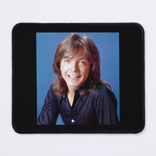 Item preview, Shaun Cassidy Tour 2019 Sir6 designed and sold by ShaundaWoznia.