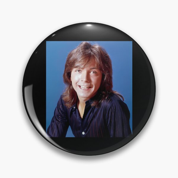 Artikelvorschau, Shaun Cassidy Tour 2019 Sir6 entworfen und verkauft von ShaundaWoznia.