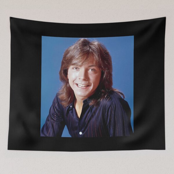 Item preview, Shaun Cassidy Tour 2019 Sir6 designed and sold by ShaundaWoznia.