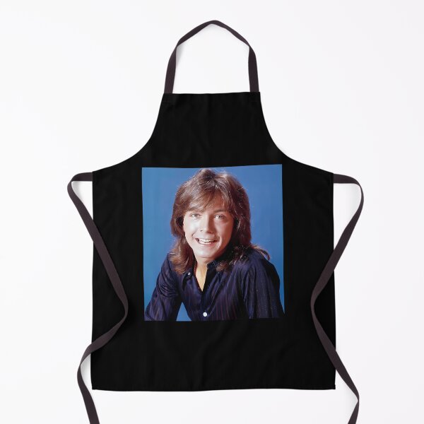 Artikelvorschau, Shaun Cassidy Tour 2019 Sir6 entworfen und verkauft von ShaundaWoznia.