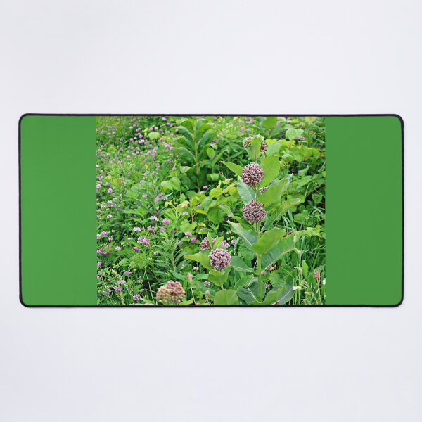 Item preview, Common Milkweed and Summer Flowers designed and sold by Martha Sherman.
