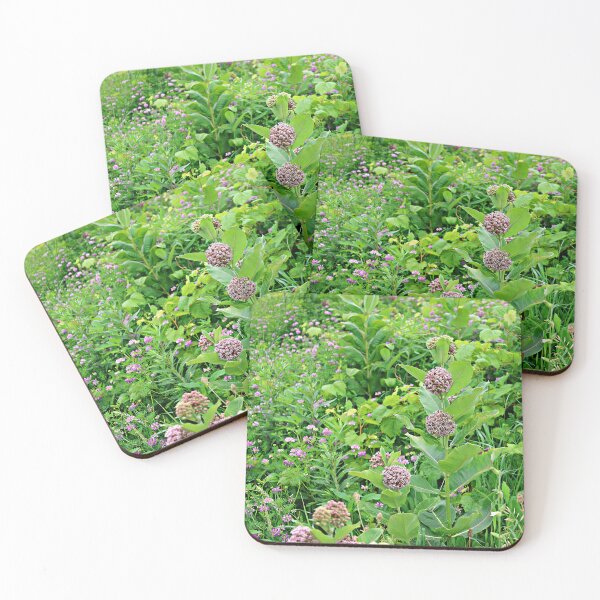 Item preview, Common Milkweed and Summer Flowers designed and sold by Martha Sherman.