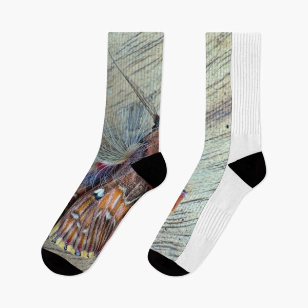 Item preview, Sailboat Sia Furler Seaside Escape designed and sold by joadrinc.