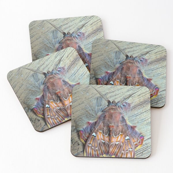 Item preview, Sailboat Seaside Escape designed and sold by joadrinc.