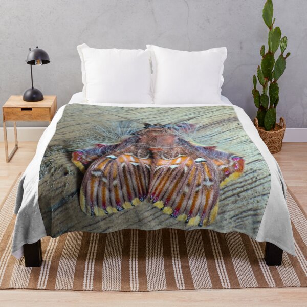 Item preview, Sailboat Seaside Escape designed and sold by joadrinc.