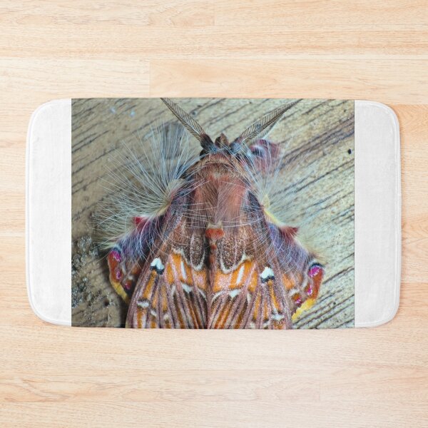 Item preview, Sailboat Sia Furler Seaside Escape designed and sold by joadrinc.