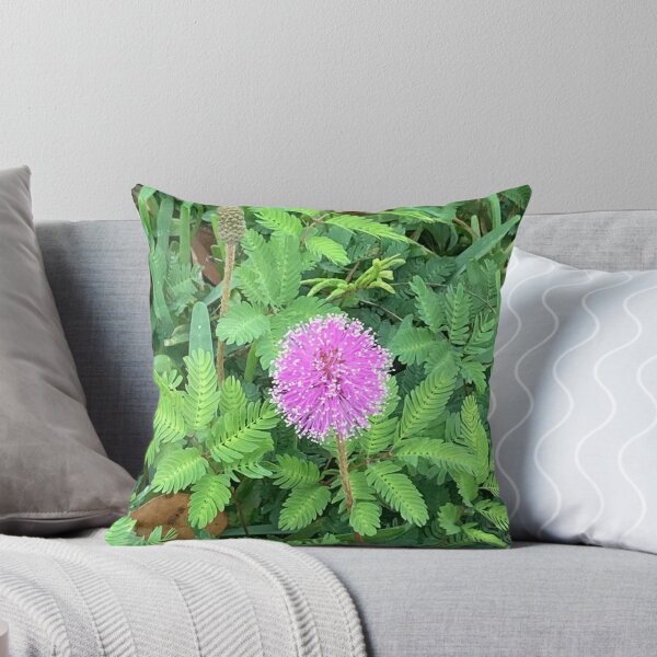 Item preview, Mimosa (sensitive plant) designed and sold by Ben Waggoner.