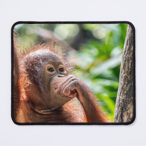 Item preview, Orang Utan 07 designed and sold by photograham.