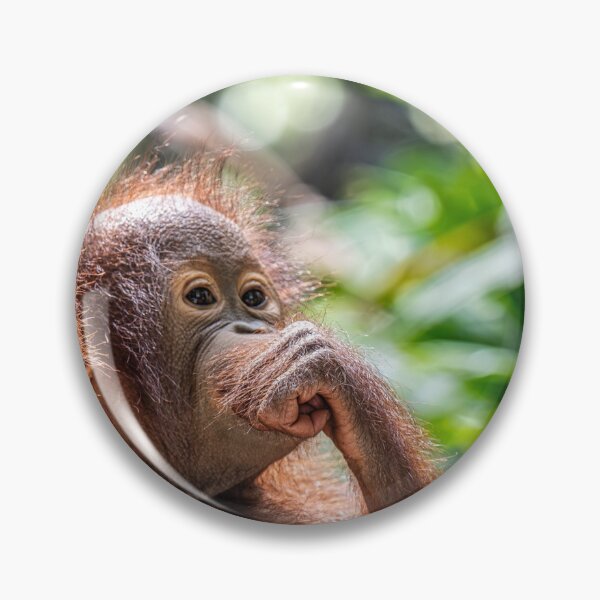 Item preview, Orang Utan 07 designed and sold by photograham.
