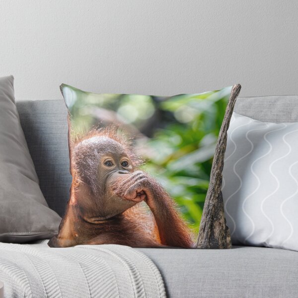 Item preview, Orang Utan 07 designed and sold by photograham.