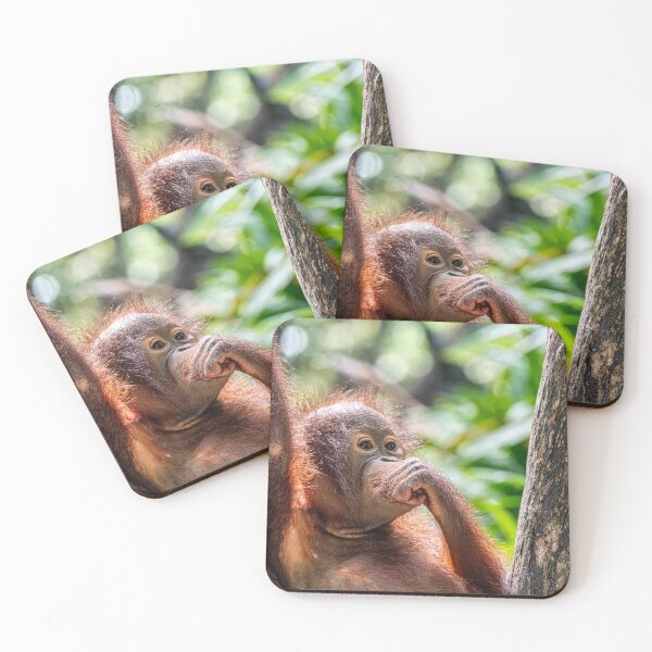 Item preview, Orang Utan 07 designed and sold by photograham.