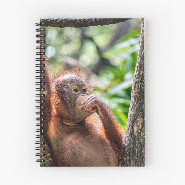 Item preview, Orang Utan 07 designed and sold by photograham.