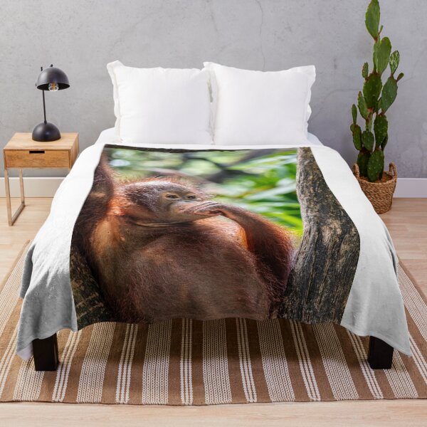 Item preview, Orang Utan 07 designed and sold by photograham.