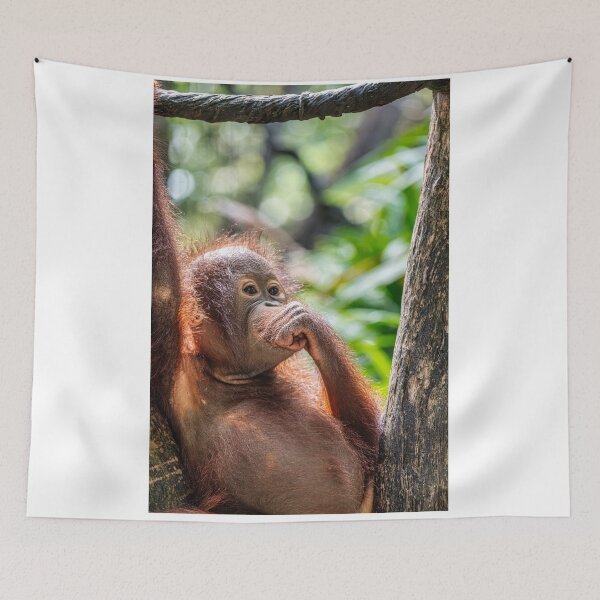 Item preview, Orang Utan 07 designed and sold by photograham.