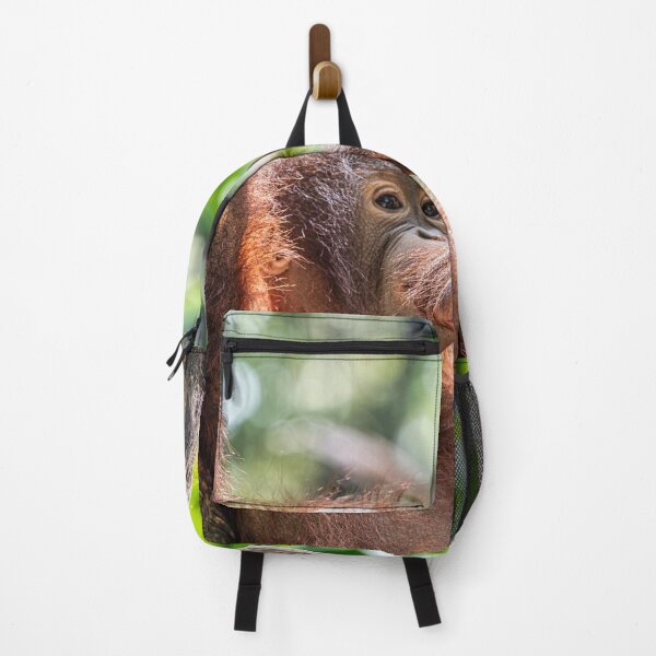 Item preview, Orang Utan 07 designed and sold by photograham.