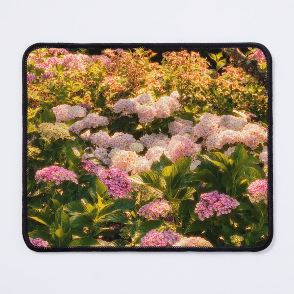 Item preview, Quiet Bianchi bTemple Landscape designed and sold by phlndg.