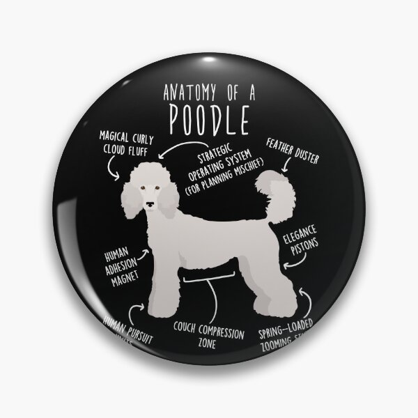 Item preview, White Standard Poodle Dog Anatomy designed and sold by Clara Hollins.