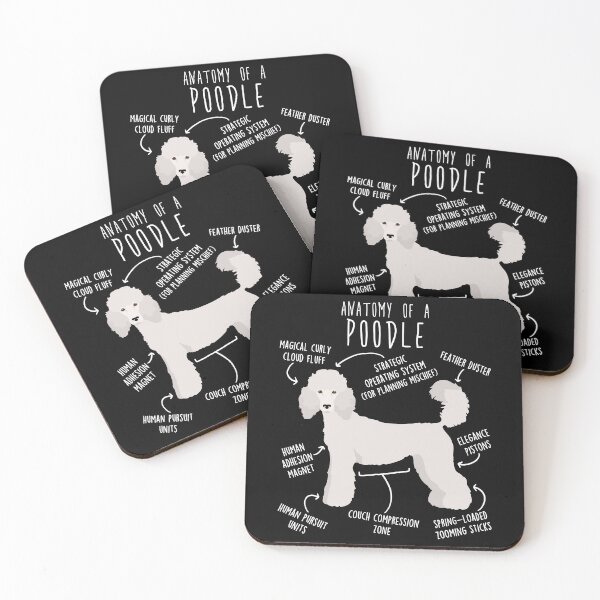 Item preview, White Standard Poodle Dog Anatomy designed and sold by Clara Hollins.