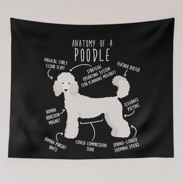 Item preview, White Standard Poodle Dog Anatomy designed and sold by Clara Hollins.