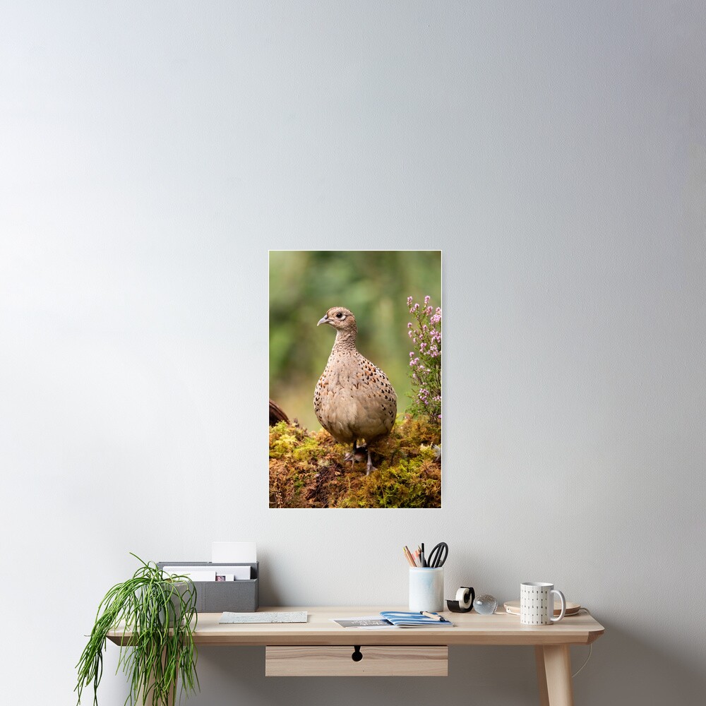 Item preview, Poster designed and sold by FXST.