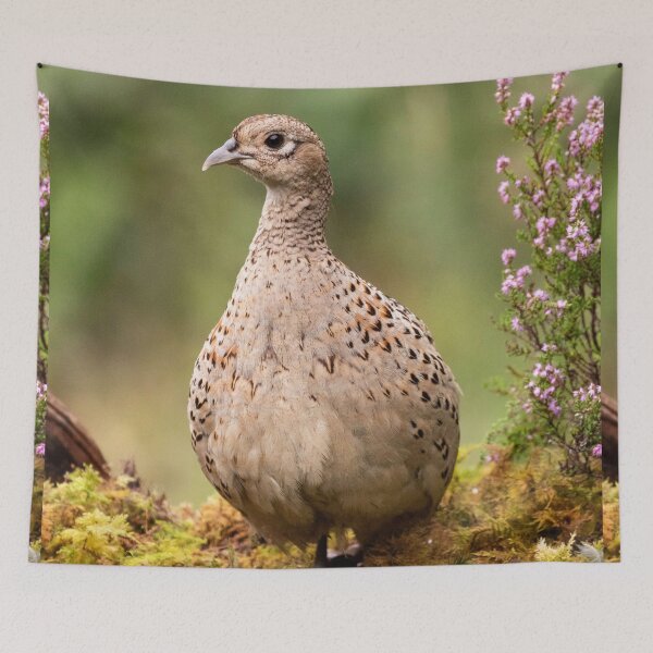 Item preview, Wild Pheasant designed and sold by FXST.