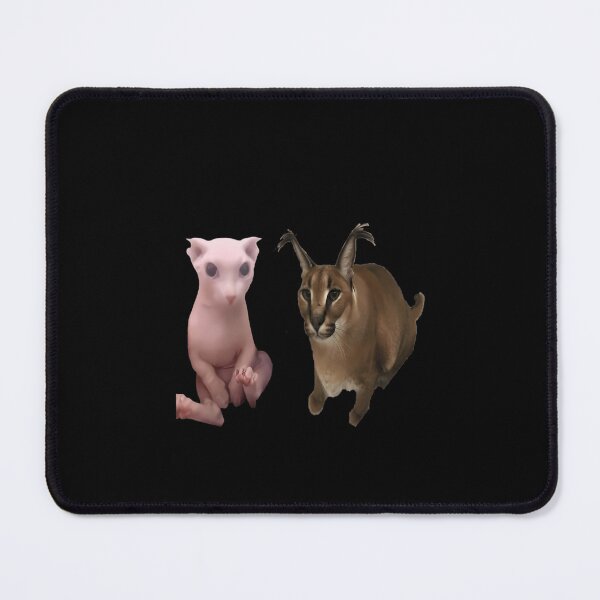 Item preview, Big Floppa And Bingus No More Wars designed and sold by HAYDENSBORNE.