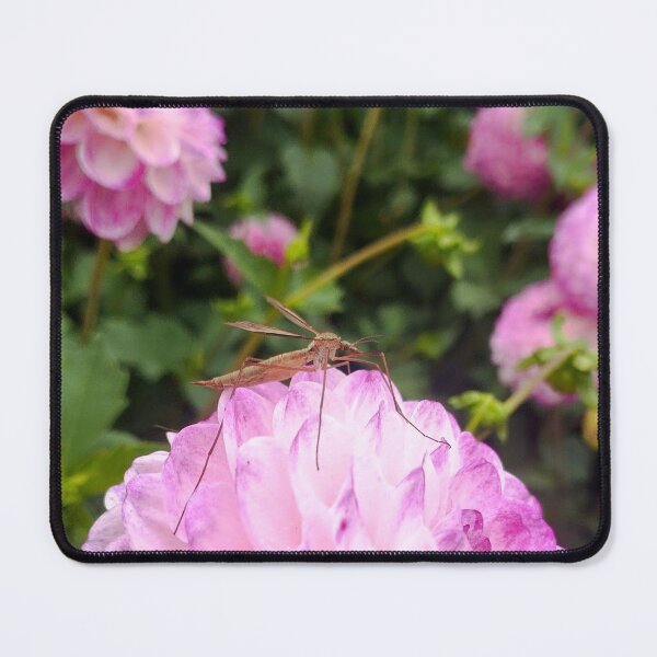 Item preview, Pink Dahlia with Crane Fly – Macro Nature Photography designed and sold by Mnemovia.