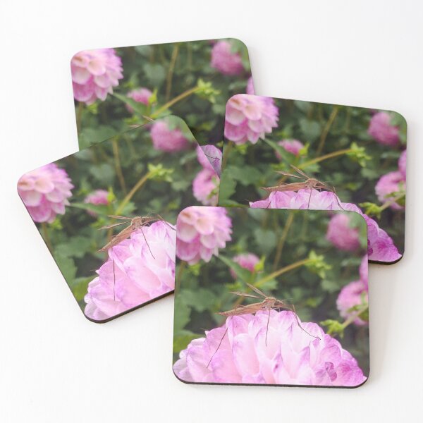 Item preview, Pink Dahlia with Crane Fly – Macro Nature Photography designed and sold by Mnemovia.