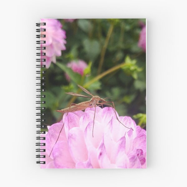 Item preview, Pink Dahlia with Crane Fly – Macro Nature Photography designed and sold by Mnemovia.
