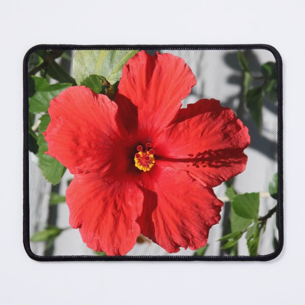 Item preview, red hibiscus flower designed and sold by EleniA8.