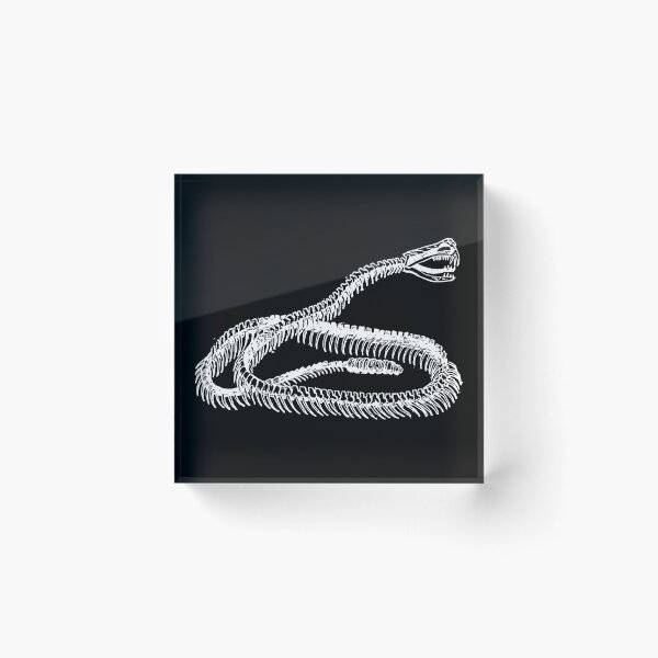Item preview, Rattlesnake Skeleton - Funny Snake Lover Gift designed and sold by qarinefesia.