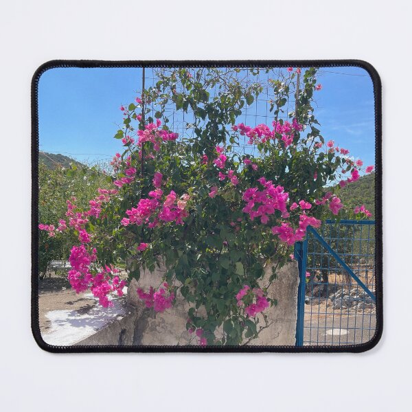 Item preview, Bougainvillea flower in Greece designed and sold by EleniA8.