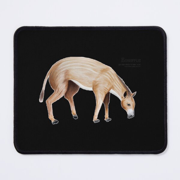 Item preview, Eohippus Ancient Horse Evolution Illustration Design designed and sold by Albyna.