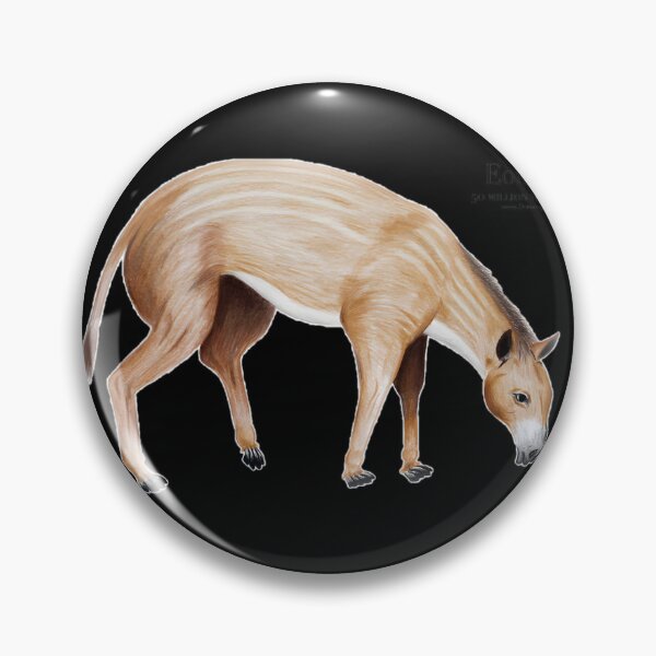 Item preview, Eohippus Ancient Horse Evolution Illustration Design designed and sold by Albyna.
