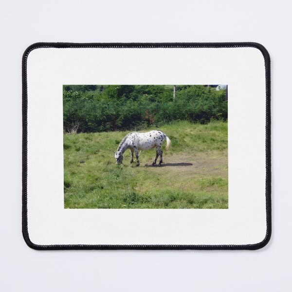 Item preview, Knabstrupper Horse Art Design Featuring Spotted Equine Beauty designed and sold by Albyna.