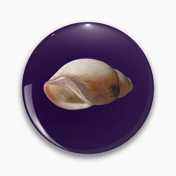 Artikelvorschau, Natural Snail Shell Macro Photo entworfen und verkauft von PicturePic.