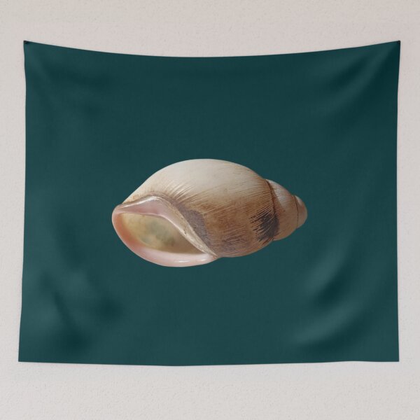 Item preview, Natural Snail Shell Macro Photo designed and sold by PicturePic.