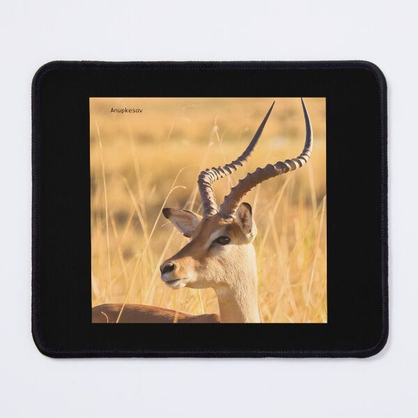 Item preview, Elegant African Impala Antelope Nature Wildlife Illustration designed and sold by MidasMitty.