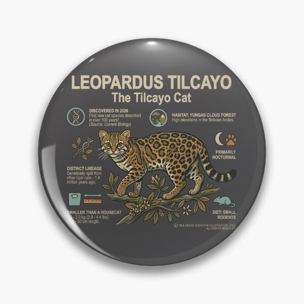 Item preview, Leopardus Tilcayo - The Tilcayo Cat Educational Scientific Illustration Art designed and sold by artworkathome.