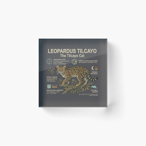 Item preview, Leopardus Tilcayo - The Tilcayo Cat Educational Scientific Illustration Art designed and sold by artworkathome.