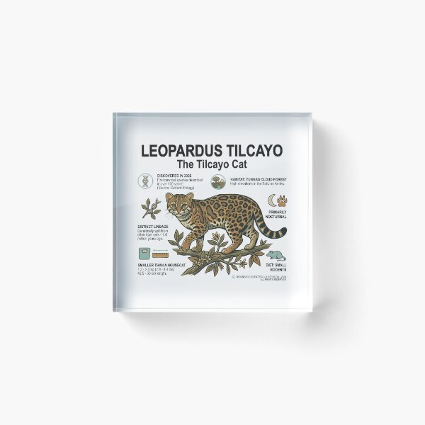 Item preview, Leopardus Tilcayo - The Tilcayo Cat Educational Scientific Illustration Art designed and sold by artworkathome.