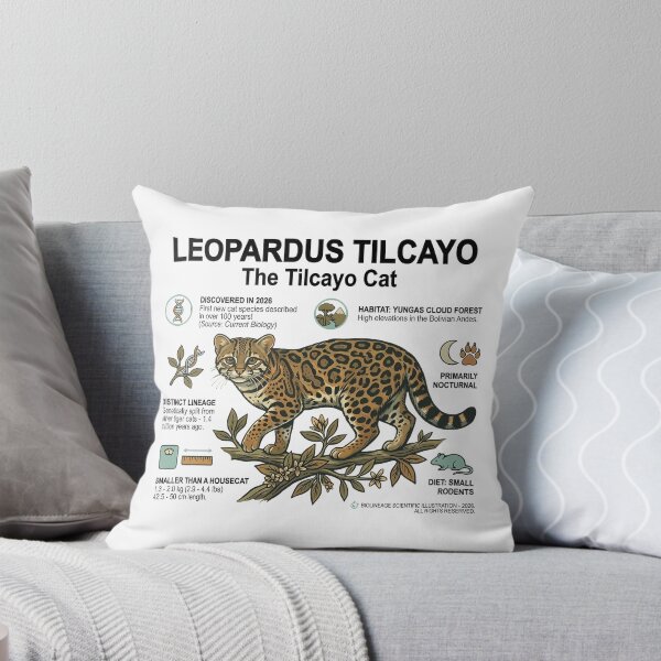 Item preview, Leopardus Tilcayo - The Tilcayo Cat Educational Scientific Illustration Art designed and sold by artworkathome.