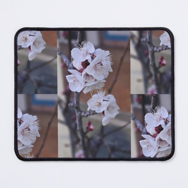 Item preview, Celestial White Blossom Petals designed and sold by NaturalChroma.