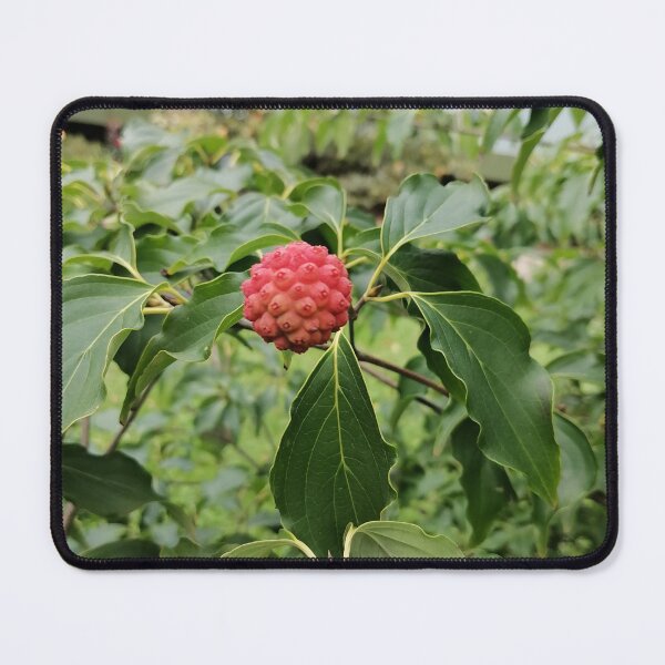 Item preview, Red Berry on Green Leaves designed and sold by PhuongVoArt.